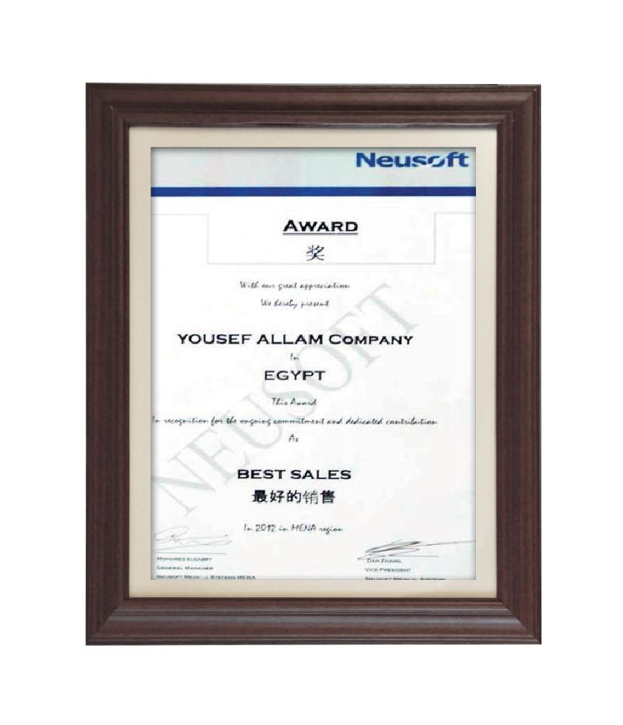 Best Sales in the MENA Region, 2012